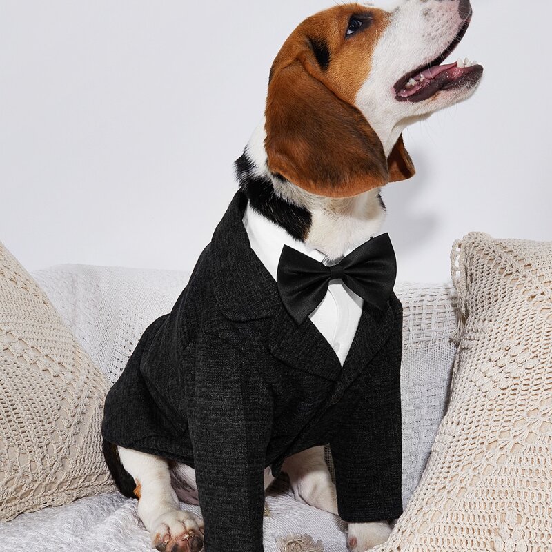 

1pc Dog Suit Without Bow, Black