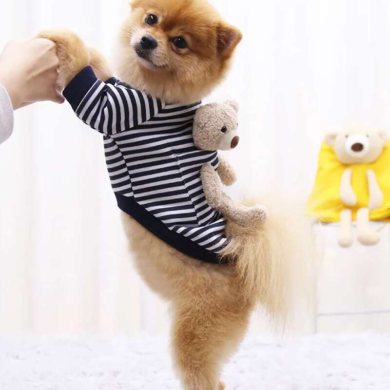 

Plush Bear Decor Stripe Dog Sweatshirt, Blue