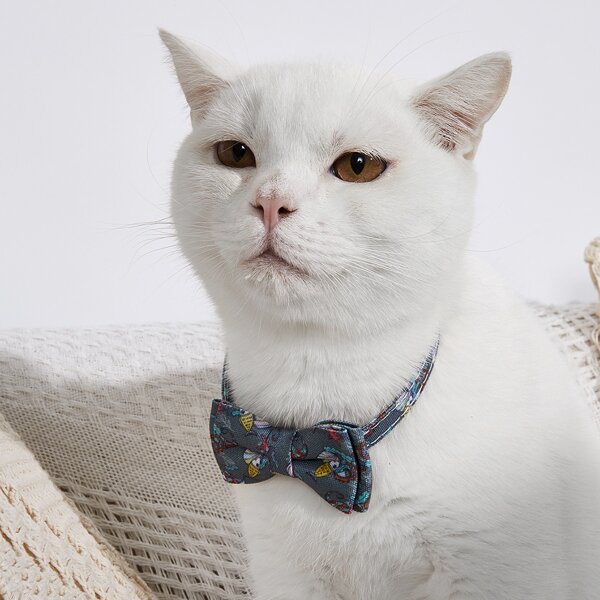 

Cartoon Graphic Bow Cat Collar, Grey