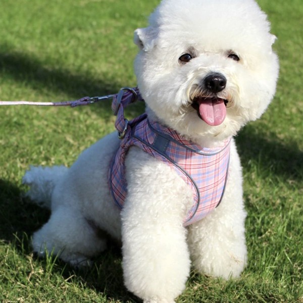 

1pc Plaid Pattern Dog Leash & 1pc Dog Harness, Pink