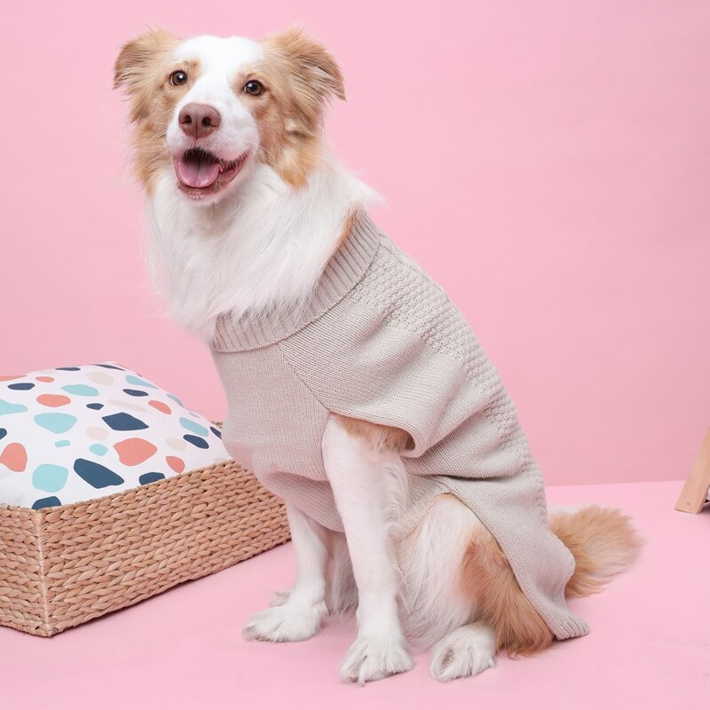 

Plain Dog Sweater, Beige