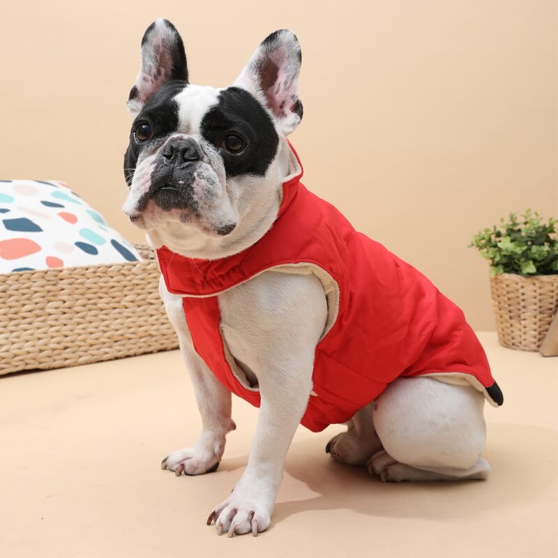 

Plain Zipper Dog Coat, Red