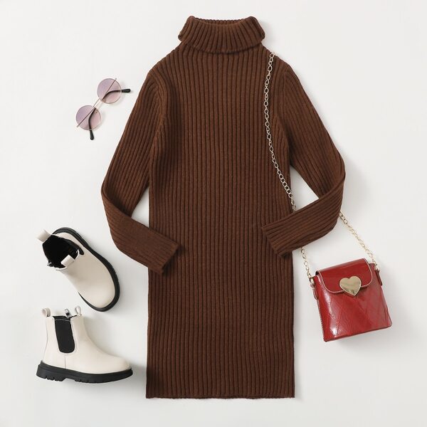 

Toddler Girls Solid Turtleneck Sweater Dress, Coffee brown