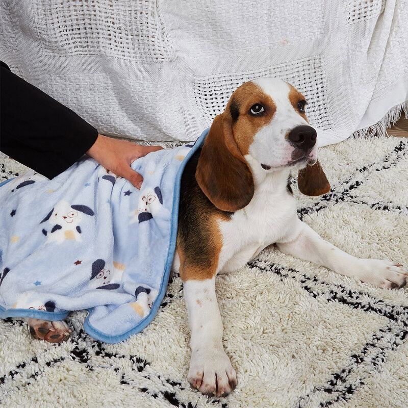 

Cartoon Graphic Dog Blanket, Blue