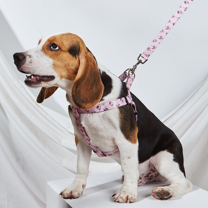 

1pc Animal Pattern Dog Harness & 1pc Dog Leash, Multicolor