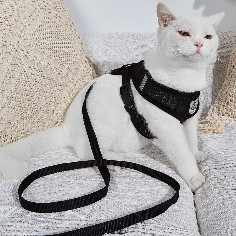 

1pc Breathable Cat Harness & 1pc Cat Leash, Black