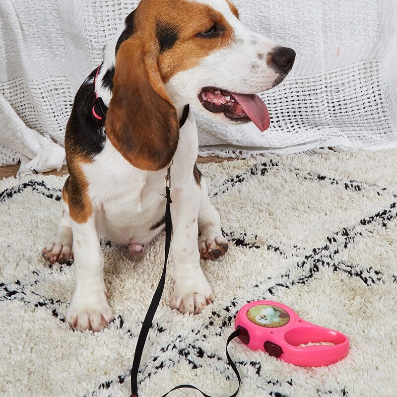 

Retractable Dog Leash, Pink