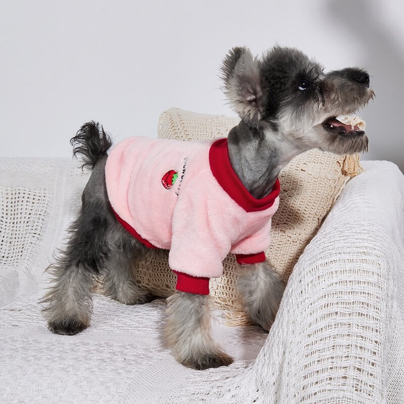 

Strawberry Embroidered Plush Dog Sweatshirt, Baby pink