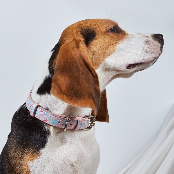 

Leaf Print Dog Collar, Multicolor
