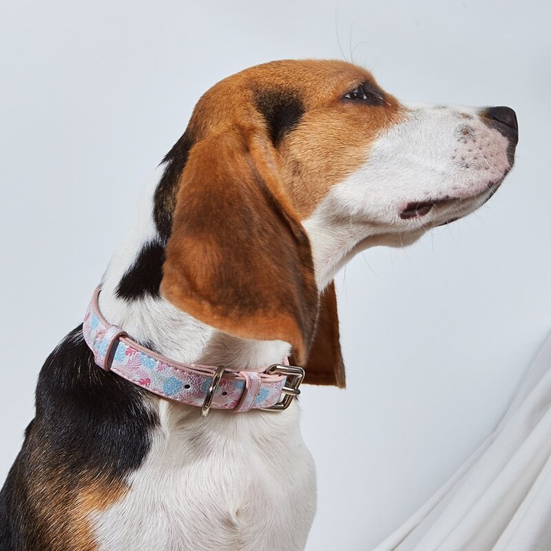 

Leaf Print Dog Collar, Multicolor