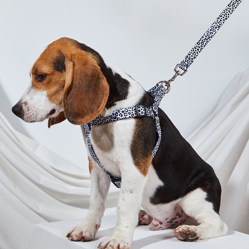 

1pc Leopard Dog Harness & 1pc Dog Leash, Black and white