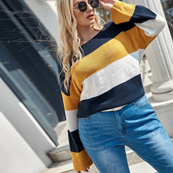 

Plus Drop Shoulder Color Block Sweater, Multicolor