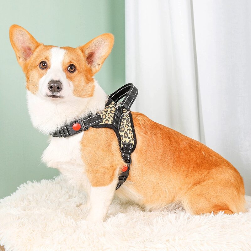 

Release Buckle Leopard Dog Harness, Multicolor