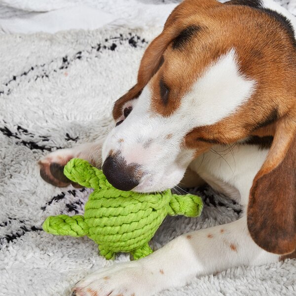 

Tortoise Shaped Dog Chew Toy, Green