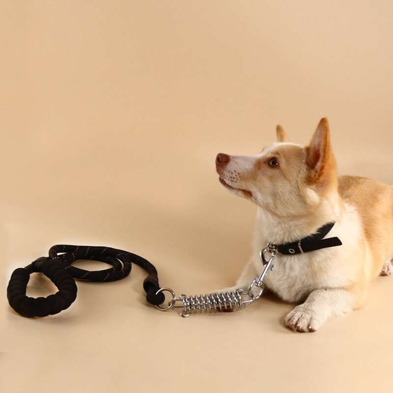 

Reflective Dog Leash, Black