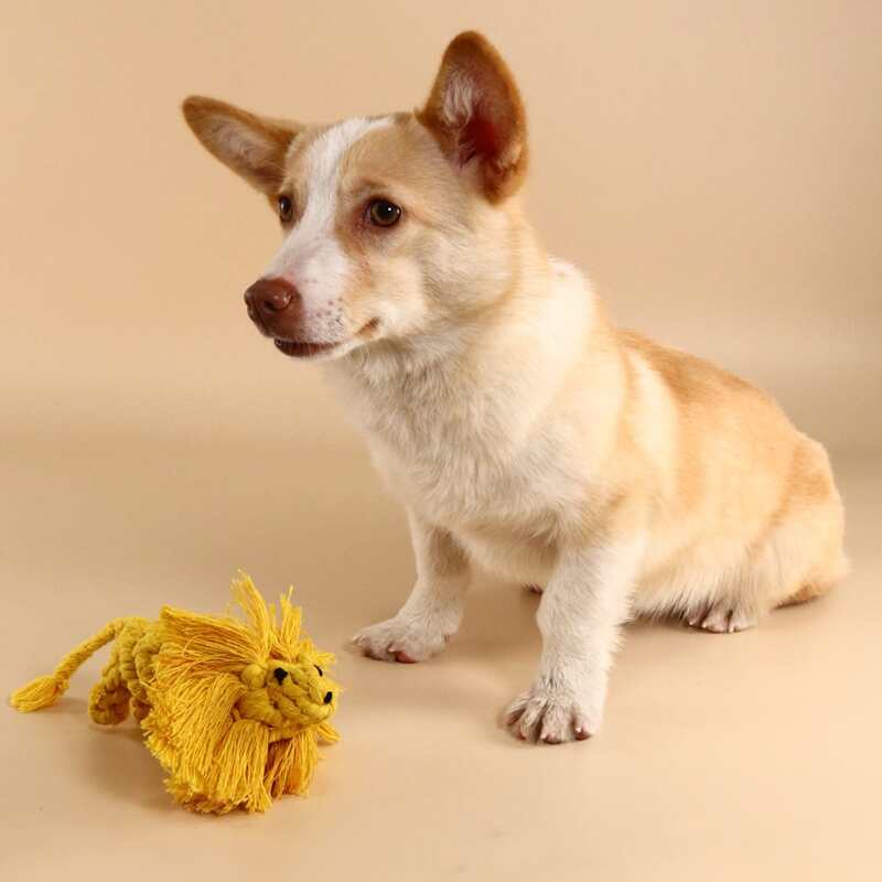 

Cotton Rope Dog Chew Toy, Yellow