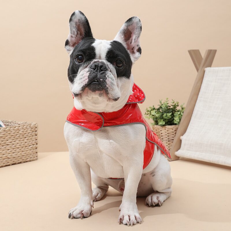 

Polka Dot Pattern Dog Raincoat, Red