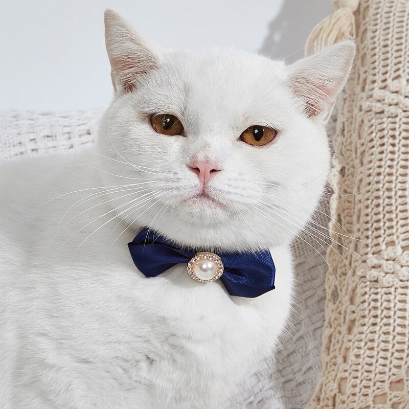 

Faux Pearl Decor Cat Bow Tie, Blue