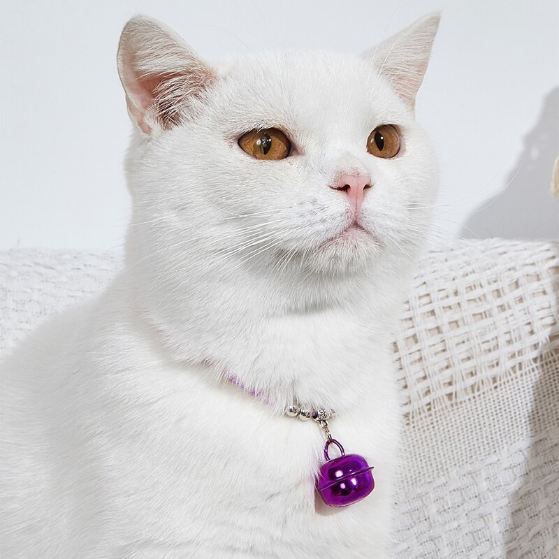 

Bell Pendant Ombre Cat Necklace, Purple