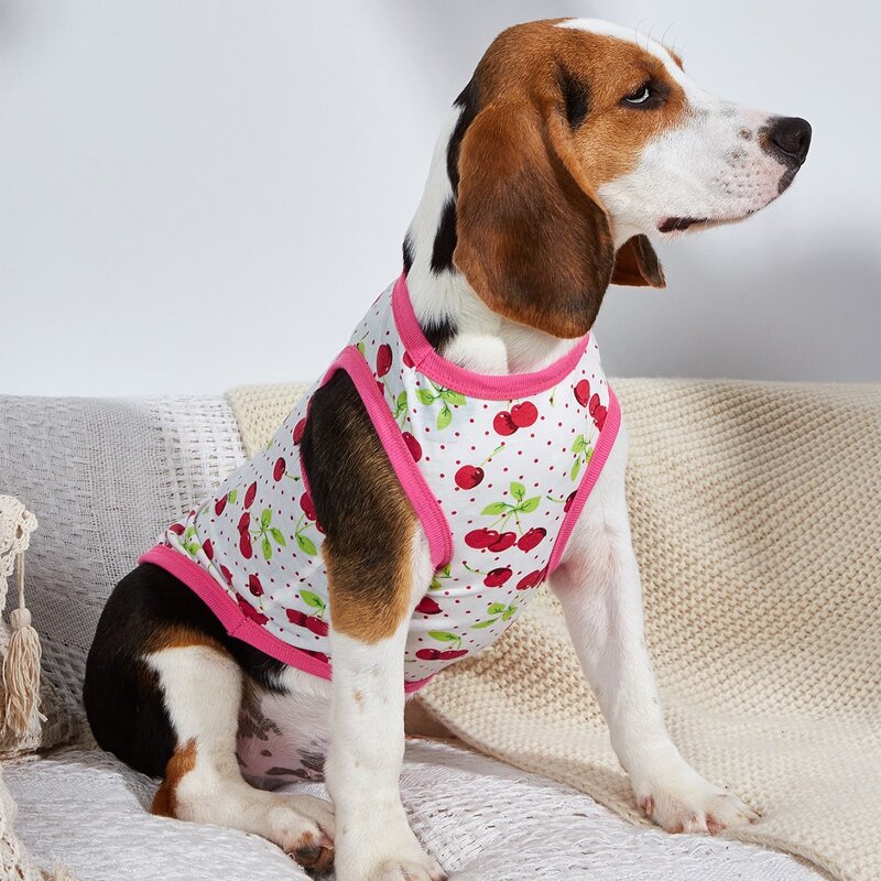 

Cherry Print Contrast Binding Pet Tank, Multicolor
