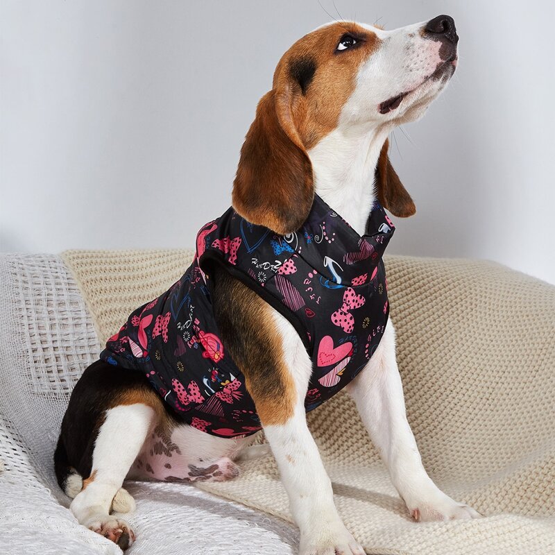 

Heart Print Zipper Pet Jacket, Multicolor