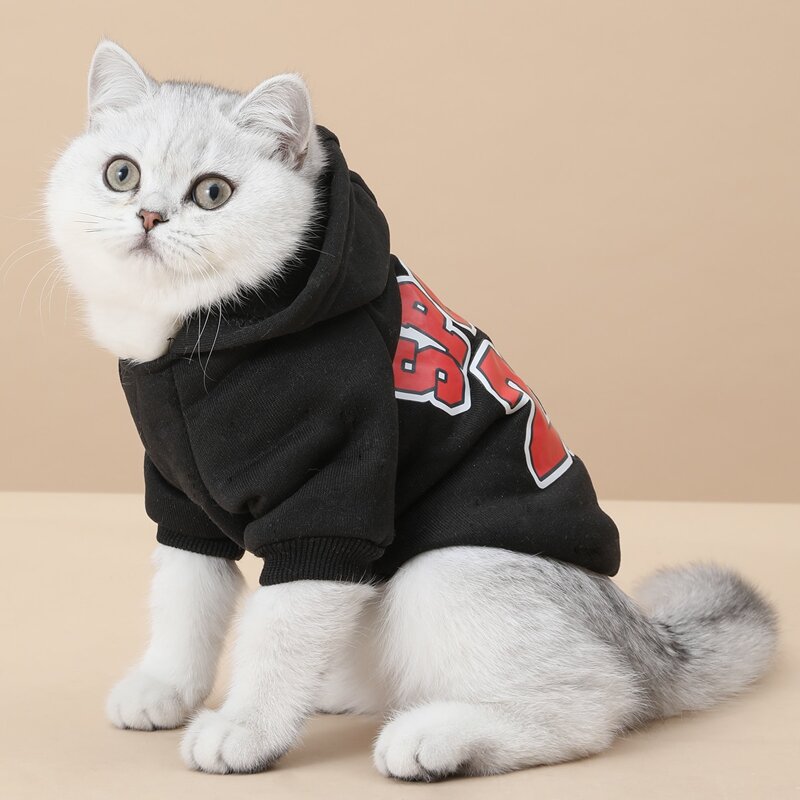 

Letter Graphic Pet Hoodie, Black