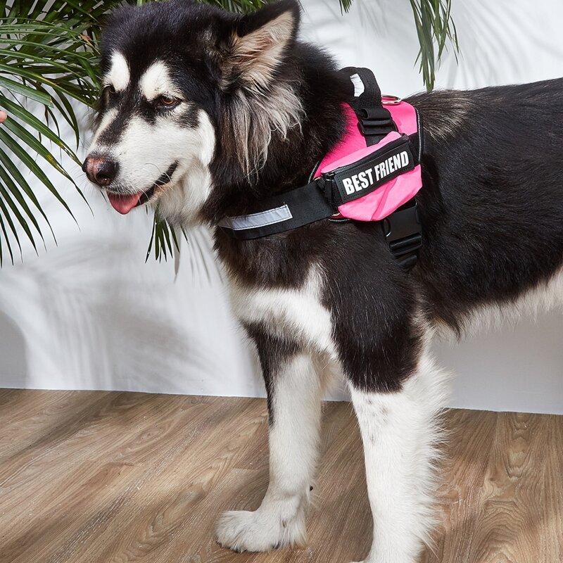 

Color Block No Pull Dog Harness, Pink