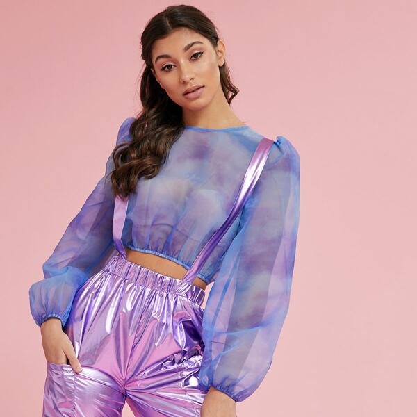 

Lantern Sleeve Sheer Organza Top Without Bandeau, Multicolor