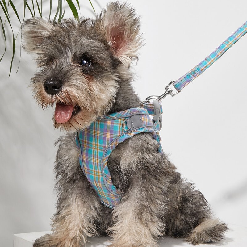 

1pc Plaid Dog Harness & 1pc Dog Leash, Blue