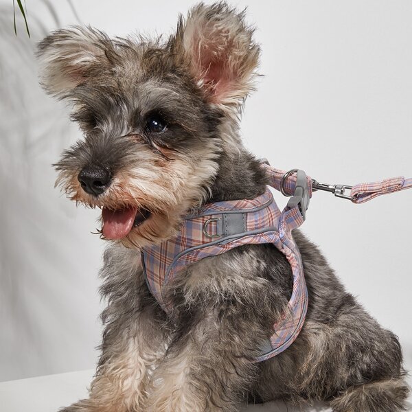 

1pc Plaid Dog Harness & 1pc Dog Leash, Pink