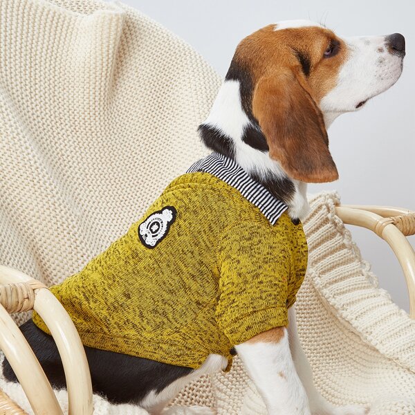 

Snap Button Knit Pet Sweater, Yellow