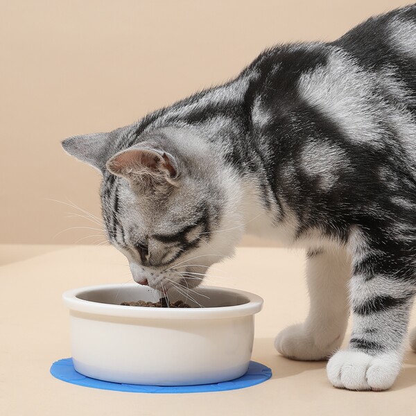 

Silicone Round Solid Pet Placemat, Blue