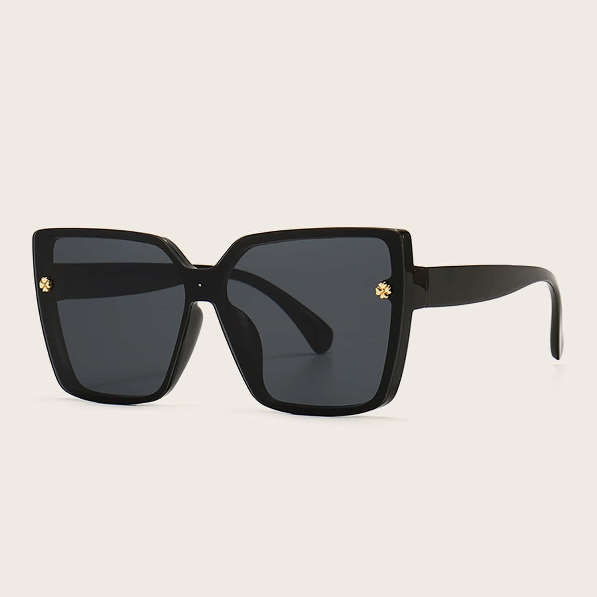 

Acrylic Frame Tinted Lens Sunglasses