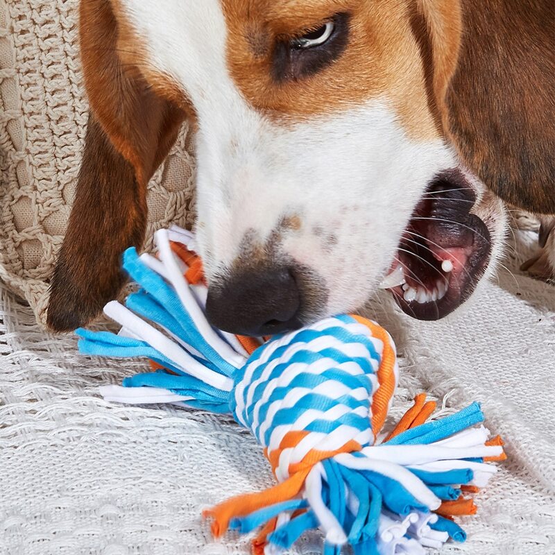 

Cotton Rope Knotted Pet Chew Toy, Multicolor