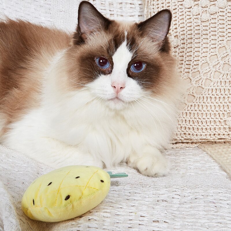 

Pineapple Design Pet Sound Toy, Yellow