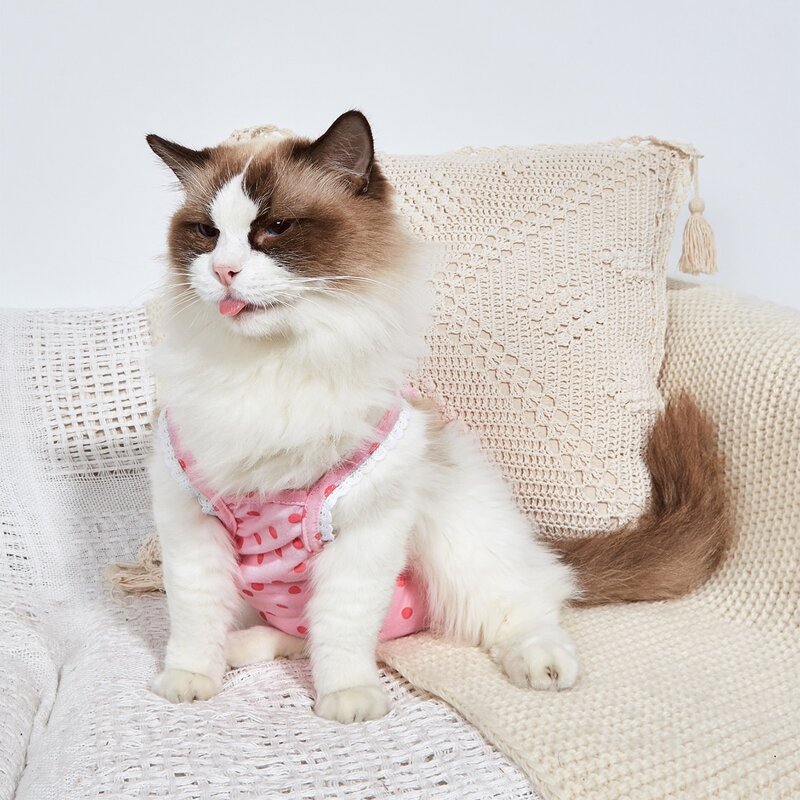 

Polka Dot Ruffle Decor Pet Sanitary Pant, Baby pink