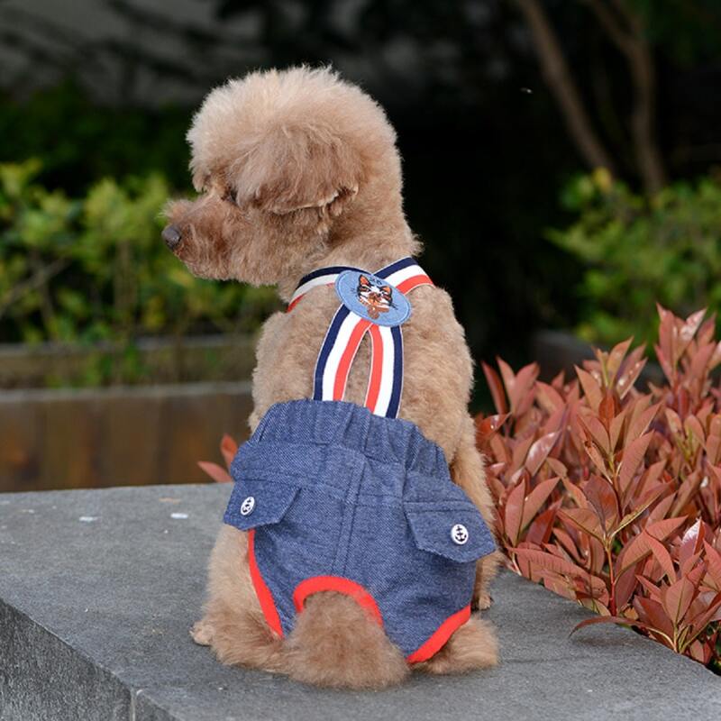 

Overalls Design Pet Sanitary Pant, Blue