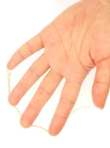 5pairs Plain Sheer Mesh Socks