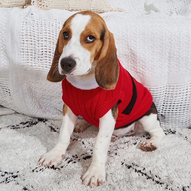

Christmas Belt Pattern Knit Pet Sweater, Red