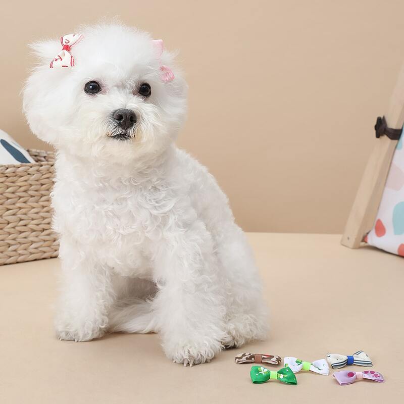 

3pcs Random Color Bow Decor Pet Hair Tie, Multicolor