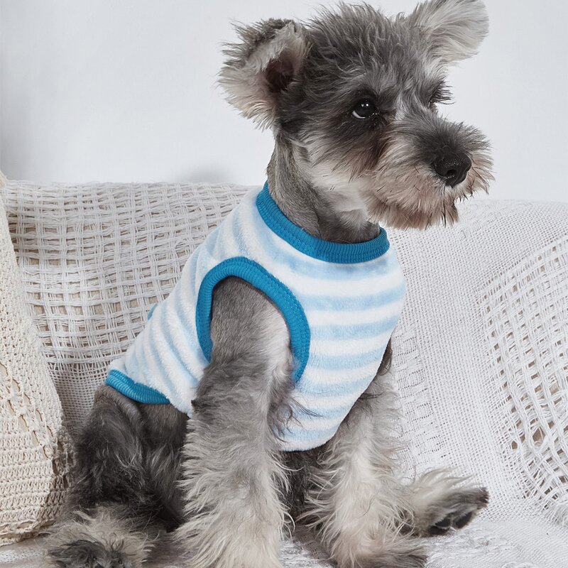 

Trojan Horse Pattern Striped Pet Tank, Baby blue