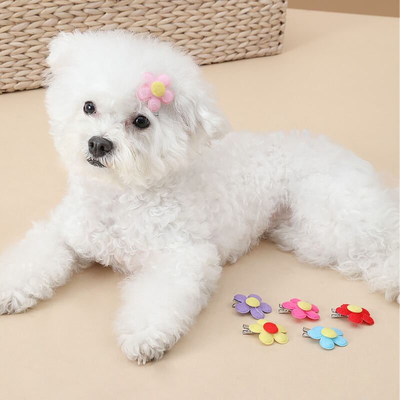

3pcs Random Color Flower Decor Pet Hair Clip, Multicolor