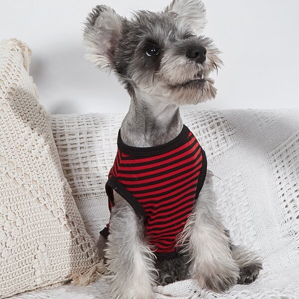 

Contrast Binding Striped Pet Tank, Burgundy