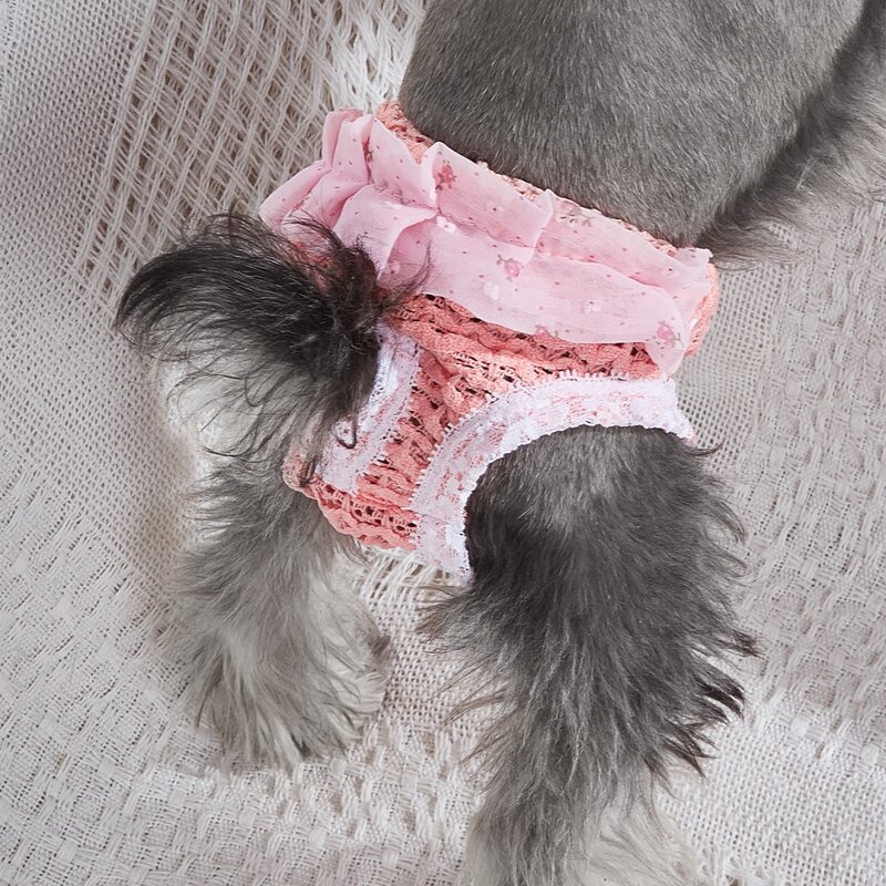 

Contrast Mesh Pet Sanitary Pant, Baby pink