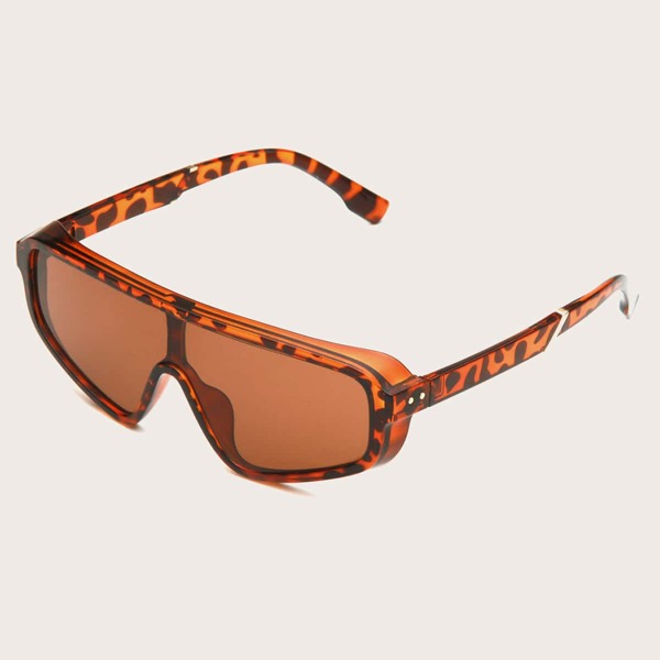 

Flat Top Tinted Lens Sunglasses