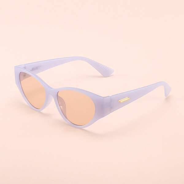 

Acrylic Frame Tinted Lens Sunglasses
