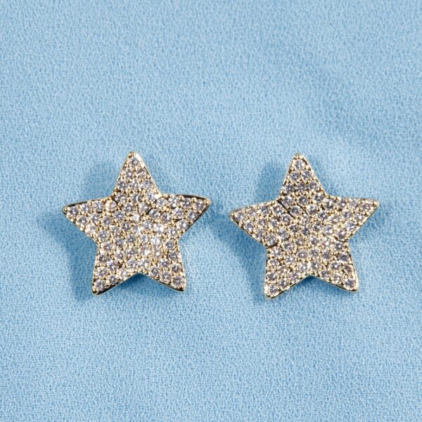

Zircon Decor Star Earrings, Silver