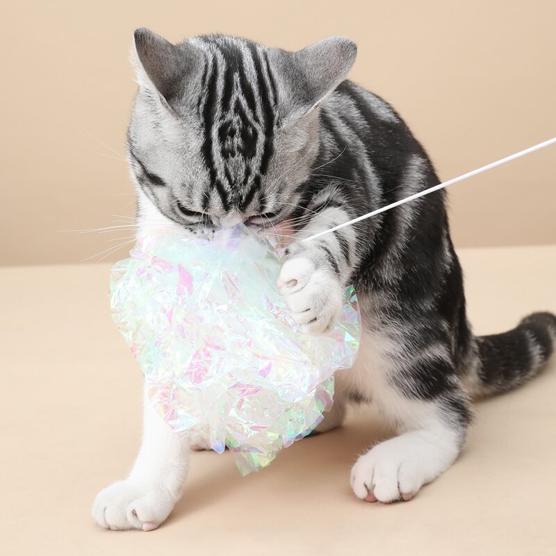 

Iridescent Pet Sound Toy, Multicolor