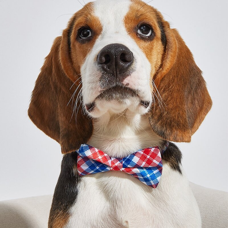 

Plaid Pet Bow Tie, Multicolor