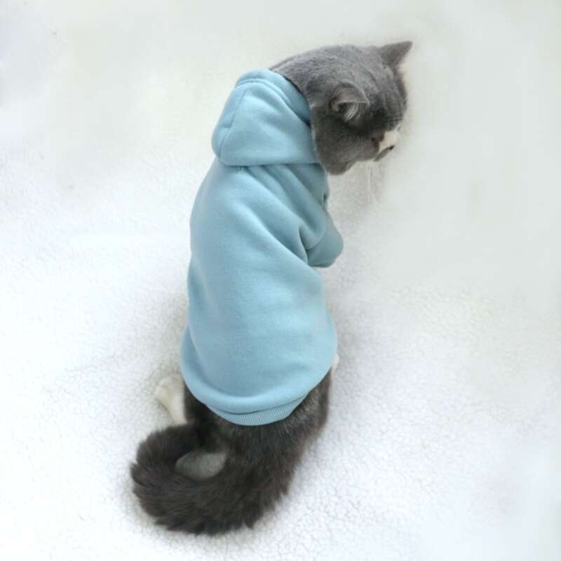 

Solid Pet Hoodie, Baby blue